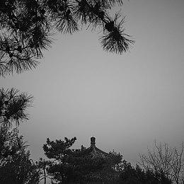 《马里奥赛车世界》容量达到23.4G 价格虽贵内容丰富